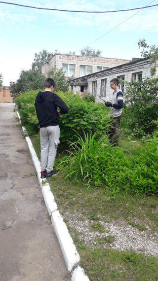 Трудовой отряд.